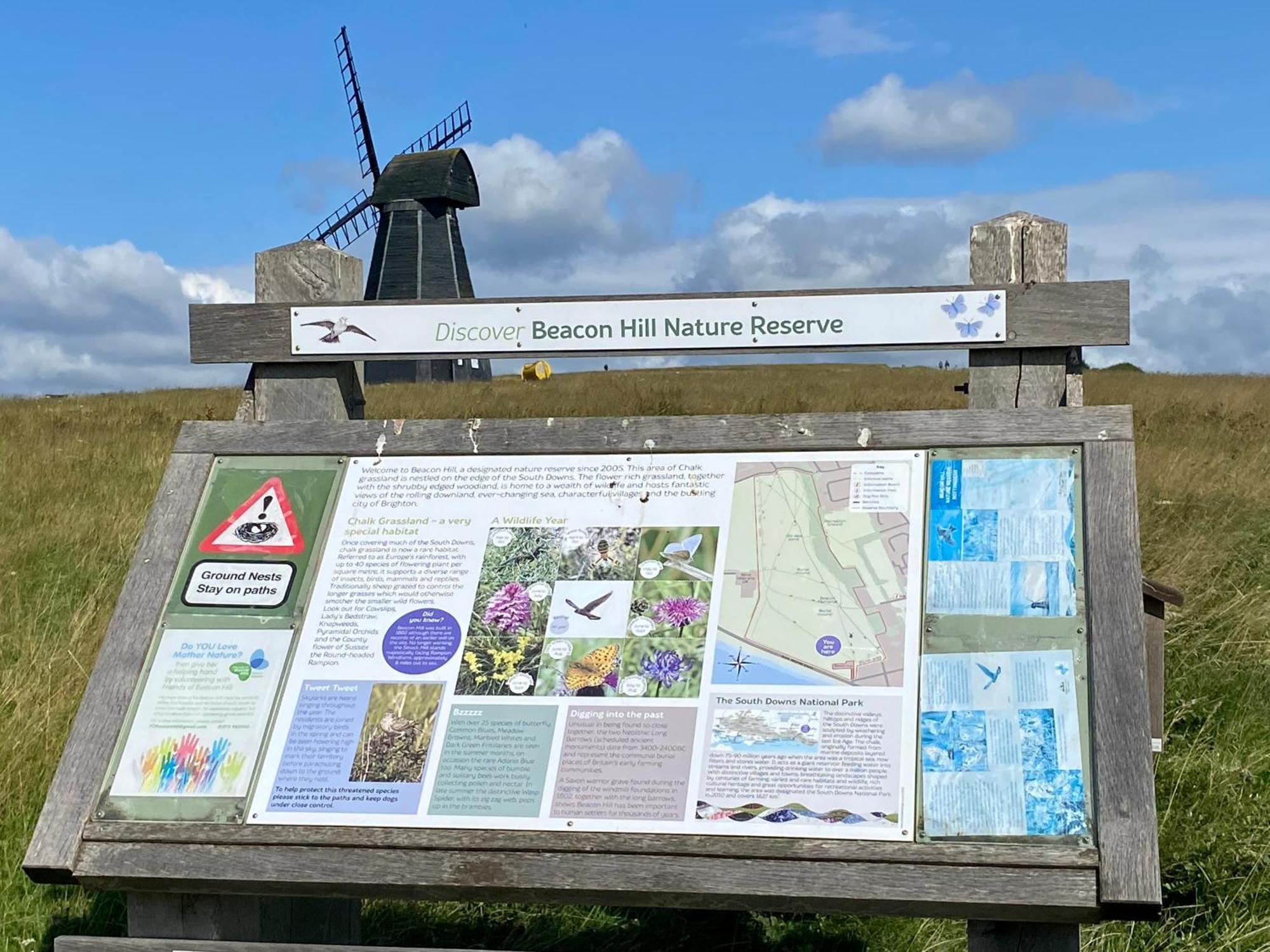 Rottingdean Boutique Studio Apartment By The Sea Brighton Екстериор снимка